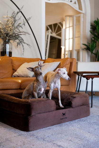 NOAH & PAW Large Dog Bed, 35x25x11 Inch, Orthopedic Dog Beds, Eggshell Memory Foam Infused with Cooling Gel, Inner Cover, Waterproof, Machine Washable (Velvet Sofa Collection)