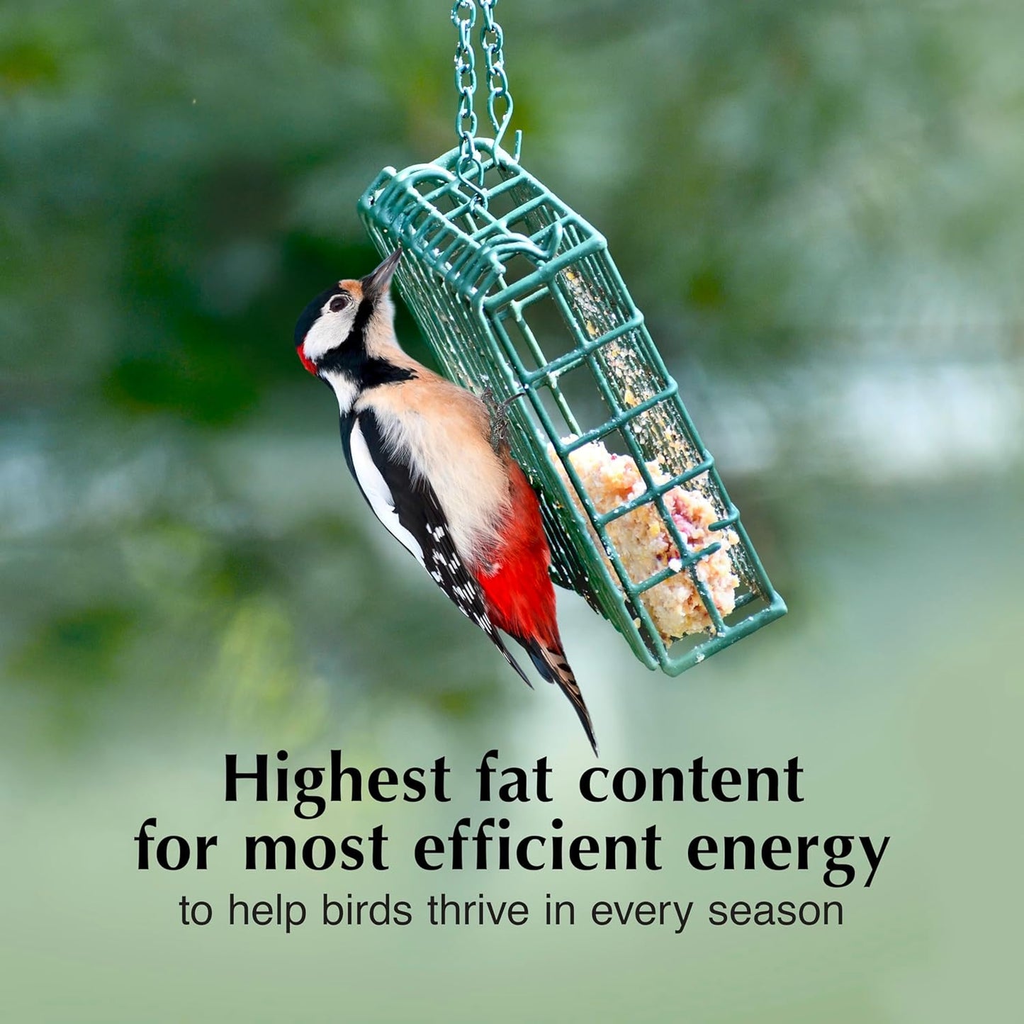 C&S Party Mix Suet Treat, Suet Cakes for Wild Birds, 11 Ounces, Pack of 8