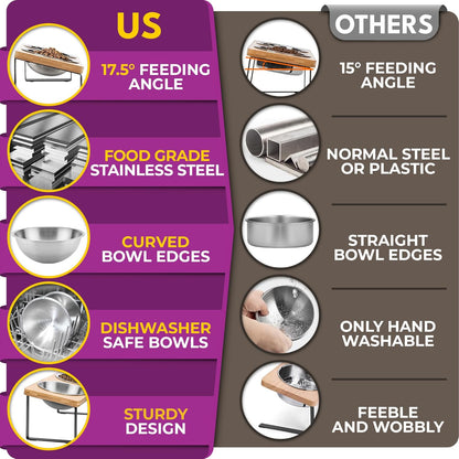 Raised cat Bowls for Indoor Cats by WinTruffles, Elevated cat Bowls, Tilted and Elevated Anti Vomiting Cat Dishes for Food and Water, Set of 2 Stainless Steel Bowl