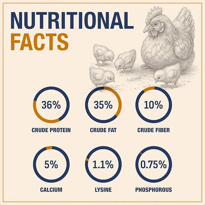 USA Grown Black Soldier Fly Larvae for Chickens - 100% Natural Dried Worms, Grubs & Mealworms with 85X More Protein Chicken Treats for Laying Hens - Birds Feed Supplement for Ducks & Reptiles