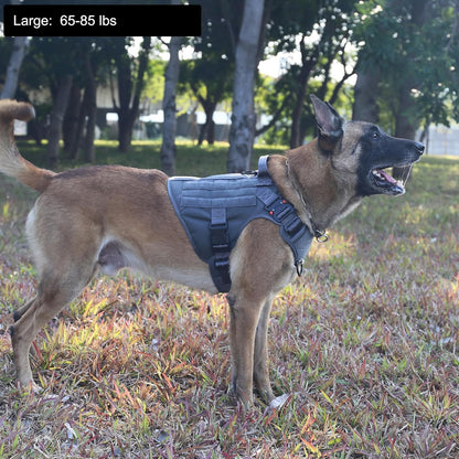 ICEFANG Tactical Dog Harness, Large Size,2X Metal Buckle,Working Dog MOLLE Vest with Handle,No Pulling Front Leash Clip,Hook and Loop Panel (Grey,L (Pack of 1))