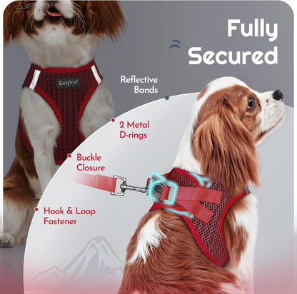 Eagloo Small Dog Harness and Leash Set, Step in Puppy Vest with Breathable Soft Mesh, Walking Reflective Pet Harness for Extra Small Dogs, Red, XXS