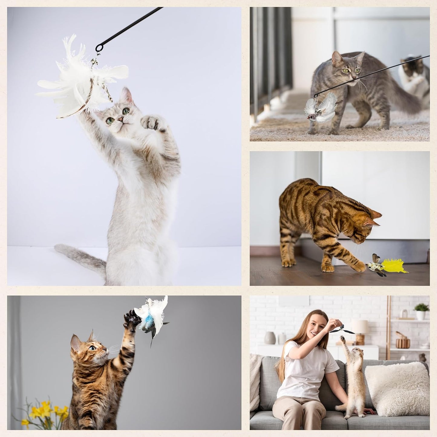 Variety Play Set, 5 Pack Refills for Wand and Fishing Poles, Spring Wires, Door/Wall Hang Ropes. 2 Bird, 2 Feather & Windmill Cat Toys - Bells & Easy Clip-On