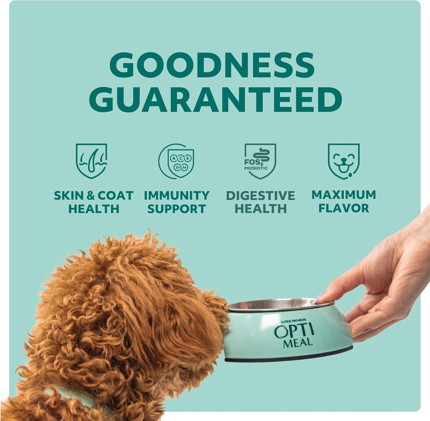 Optimeal Wet Dog Food Pouches - Puppy Grain Free Chicken & Beef Recipe, High Protein, Tender Morsels in Savory Sauce, Made with Natural Ingredients for Puppies, Premium Nutrition - 3 oz, Pack of 12