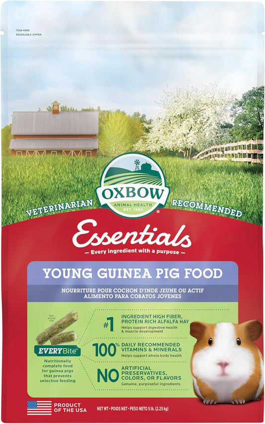 Oxbow Essentials Young Guinea Pig Food, Guinea Pig Pellets Made with Timothy Hay, Stabilized Vitamin C, Small Animal Pet Products, Small Animal Food Made in USA, High Fiber, 5 lb. Bag