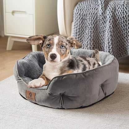 Asvin Medium Dog Bed for Medium Dogs, Cat Beds for Indoor Cats, Pet Bed for Puppy and Kitty, Extra Soft & Machine Washable with Anti-Slip & Water-Resistant Oxford Bottom, Grey, 25 inches