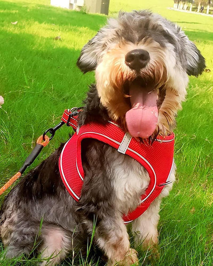 Joytale Small Dog Harness, Breathable Mesh Step-in Vest, Reflective Soft Padded Harnesses for Small and Medium Dogs, Red, L