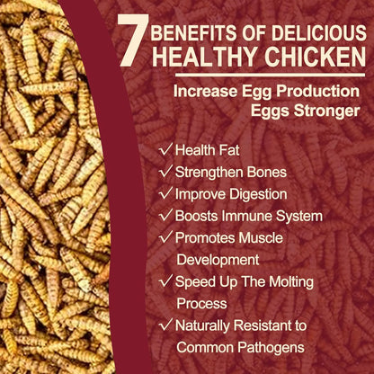 5LB Dried Black Soldier Fly Larvae for Chickens Bulk, Non GMO 86X High Calcium Grubs Than Meal Worms for Laying Hens,100% Natural BSF Larvae for Chicken Worms Wild Bird Treats, Protein Chickens Feed