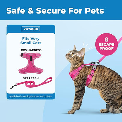 Voyager Escape Proof Cat Harness and Leash Set with Reflective Stitching, Neoprene Handle 5ft - Supports Small, Medium and Large Cats, Kittens for Walking by Best Pet Supplies - Fuchsia, XXS