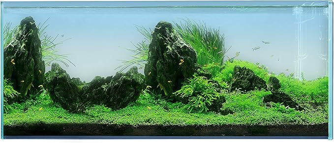 Landen 120P 72.2 Gallon Rimless Low Iron Aquarium Tank, W47.2 × D19.7 × H19.7 (120x50x50cm) 12mm Thickness with Black Nano Foam Leveling mat Included