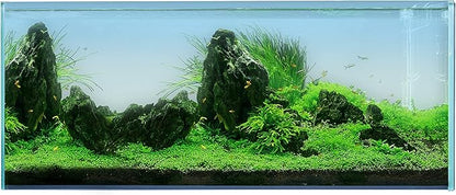 Landen 120P 72.2 Gallon Rimless Low Iron Aquarium Tank, W47.2 × D19.7 × H19.7 (120x50x50cm) 12mm Thickness with Black Nano Foam Leveling mat Included