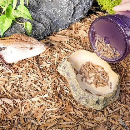 Cricket Calcium Powder Mixer, Reptile Cricket Keeper, Reptile Calcium Duster for Bearded Dragon Gecko Lizard Snake Chameleon (Purple)