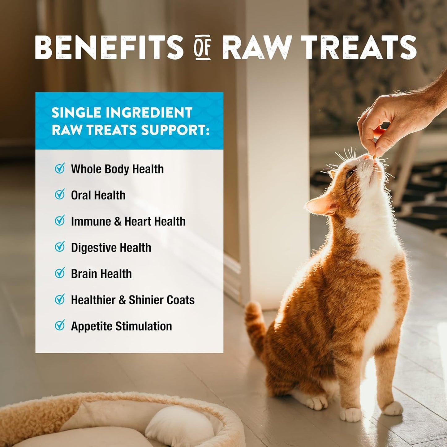 Northwest Naturals Raw Rewards Freeze-Dried Minnow Treats for Dogs and Cats - Bite-Sized Pieces - Healthy, 1 Ingredient, Human Grade Pet Food, All Natural, Proudly Made in USA, 1 Oz (Pack of 3)