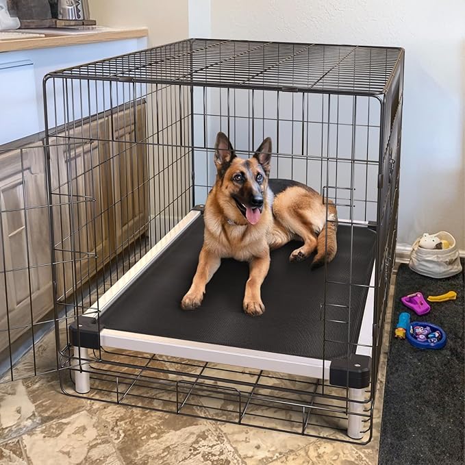 FXW TitanNest Chew-Proof Elevated Dog Bed, Raised Cot for Indoor/Outdoor/Camping Use, Durable & Waterproof Cooling Pet Bed for Large Dogs, 47.0" L x 29.0" W x 7.3" H, Black