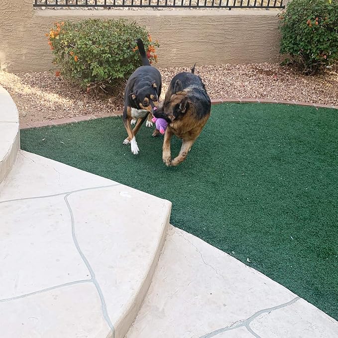 Jalousie Plush Toys Assortment Value Bundle Puppy Pet Mutt Squeak Toy for Medium Large Dogs (5 Pack Corduroy)