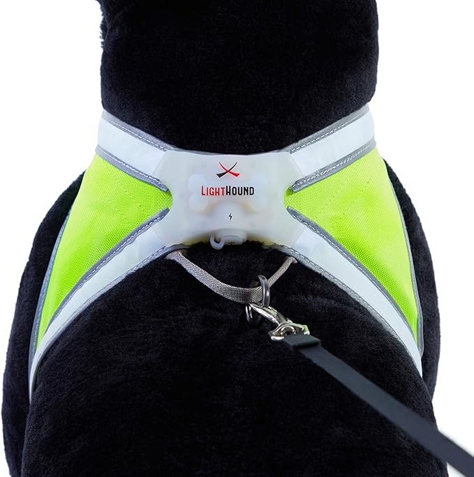 Noxgear LightHound - Multicolor LED Illuminated, Reflective Dog Harness (Medium)