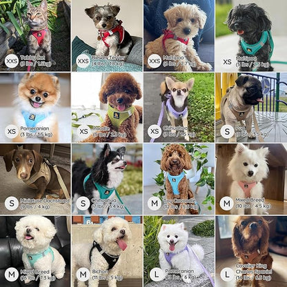 BELLA & PAL Step in Vest Harness for Small and Medium Dogs, No Pull Small Dog Harness with Leash Set, Comfortable Air Mesh Dog Vest Harness with Reflective Strip (Sky Blue, L)