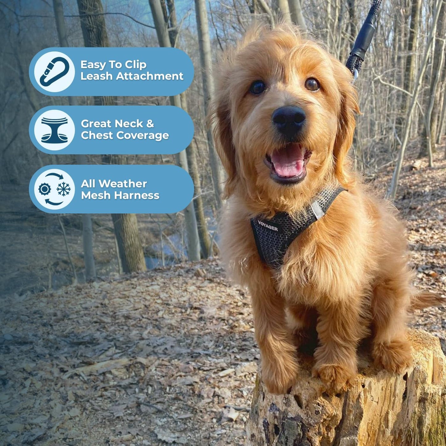 Best Pet Supplies Voyager Step-in Air Harness - All Weather Mesh, Reflective, No Pull Harness for Dogs, Cats - Secure with Hook & Loop Fastener, Buckle, Double D-Rings - Tone, L