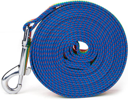 Strong Durable Nylon Dog Training Leash, 1 Inch Wide Traction Rope, 6 ft 10ft 15ft Long, for Small and Medium Dog (Rainbow, 10 Feet)
