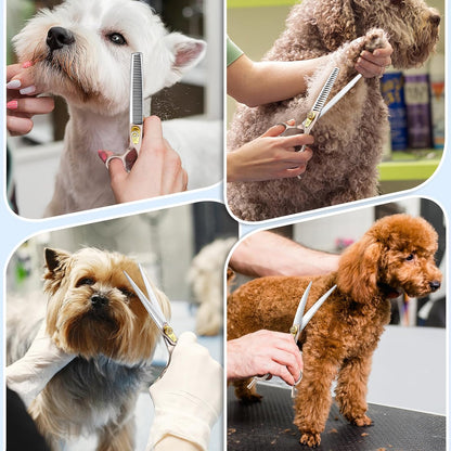 JASON Professional Dog Grooming Scissors Set - 6 in 1 Sharp Shears Set With 7" Thinning, Chunker, Straight, Curved Shears and Comb for Cat Pet, Rosegold