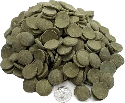 Aquatic Foods Inc. 16mm - 5/8" Wafer of Spirulina, Algae, Veggies, Sinking Wafer for Bottom Fish, Shrimp, Snails, Crabs, Crayfish, All Tropical Fish, Zeigler Style Wafers...11oz Small Jar