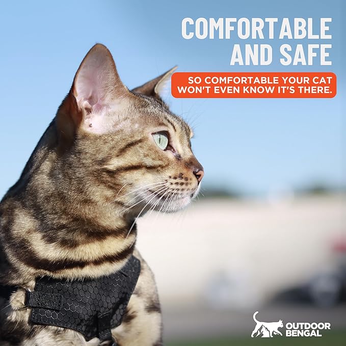 Houdini™ Escape Proof Cat Harness and Leash Set by OutdoorBengal – Orange, Large Cat Harness for Walking Big Cats