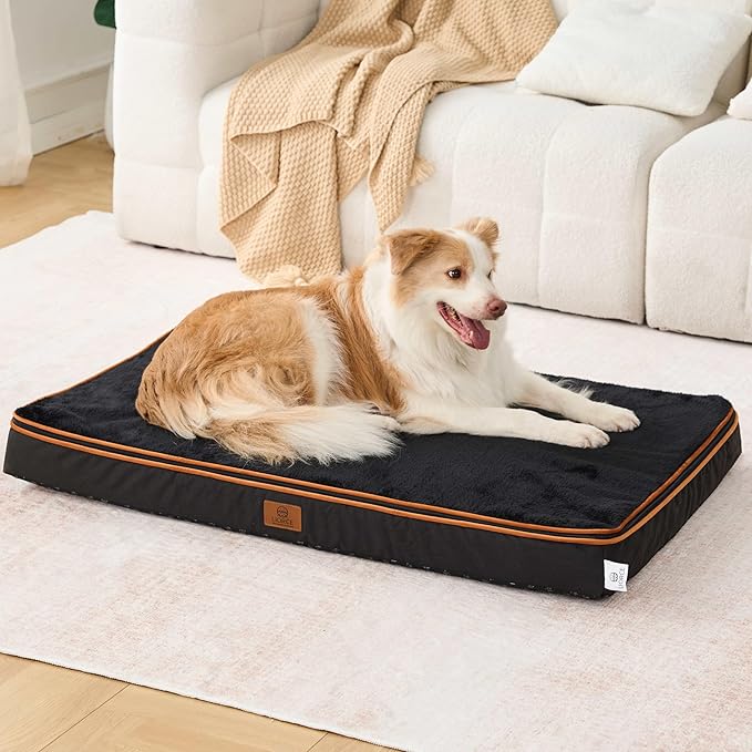 Memory Foam XL Dog Bed - 4” Thick Orthopedic Beds for Extra Large Dogs - Waterproof Dog Bed with Removable Washable Cover & Wrap-Around Zipper - Ultimate Comfort and Easy Maintenance