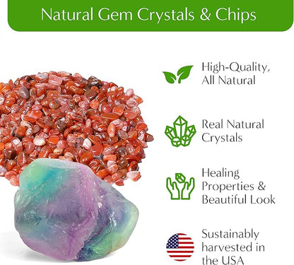 – Premium Small DIY Terrarium Kit for Succulents, Cacti & Air Plants, Includes Soil, Moss, Pebbles, Tools, Amethyst Gem & Crystal Chips – Handmade in USA