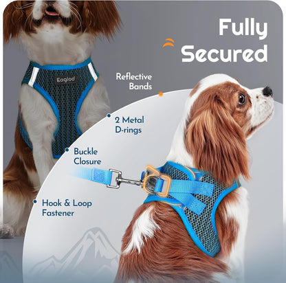 Eagloo Small Dog Harness and Leash Set, Step in Puppy Vest with Breathable Soft Mesh, Walking Reflective Pet Harness for Medium Small Dogs, Blue, M