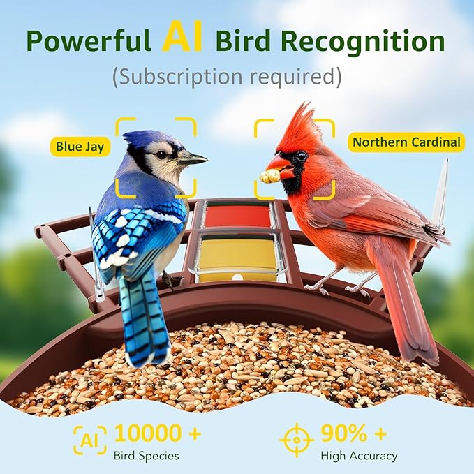 PeckCam® Smart Bird Feeder with Camera 2K HD Auto Detect & Notify, AI Identify 10000+ Birds Camera with Solar Panel 5 Perch Attachments Wireless Outdoor Birdwatching Gift for Birds Lover, Red