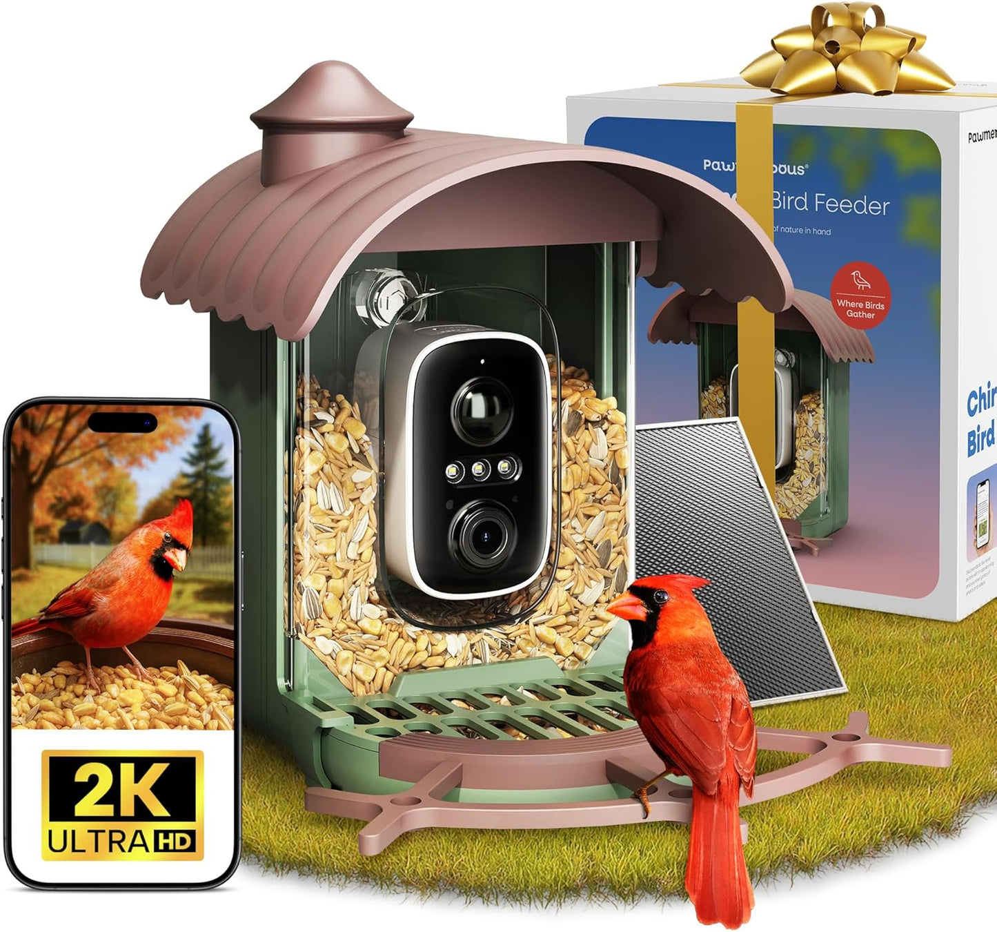 Bird Feeder with Camera – AI Identifies 10,000+ Birds, Real-Time Alerts & Two-Way Audio – Solar & Wired Powered, IP65 Waterproof for Backyard, Garden, Patio – Ideal for Bird Lovers