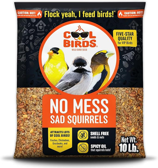 No Mess Sad Squirrels Hot Bird Seed – 10 lb. Spicy Shell-Free Blend with Peanuts, Sunflower Hearts & Chili Pepper Oil – No Waste, Squirrel-Resistant Bird Food for Outside Feeders