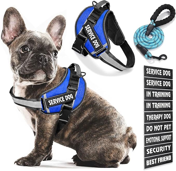Service Dog Vest, 9 Dog Patches No Pull Dog Harness and Leash Set with Handle,Easy On and Off Pet Vest Harness with Night Safe Reflective Straps for Small Medium Large Breed Dogs