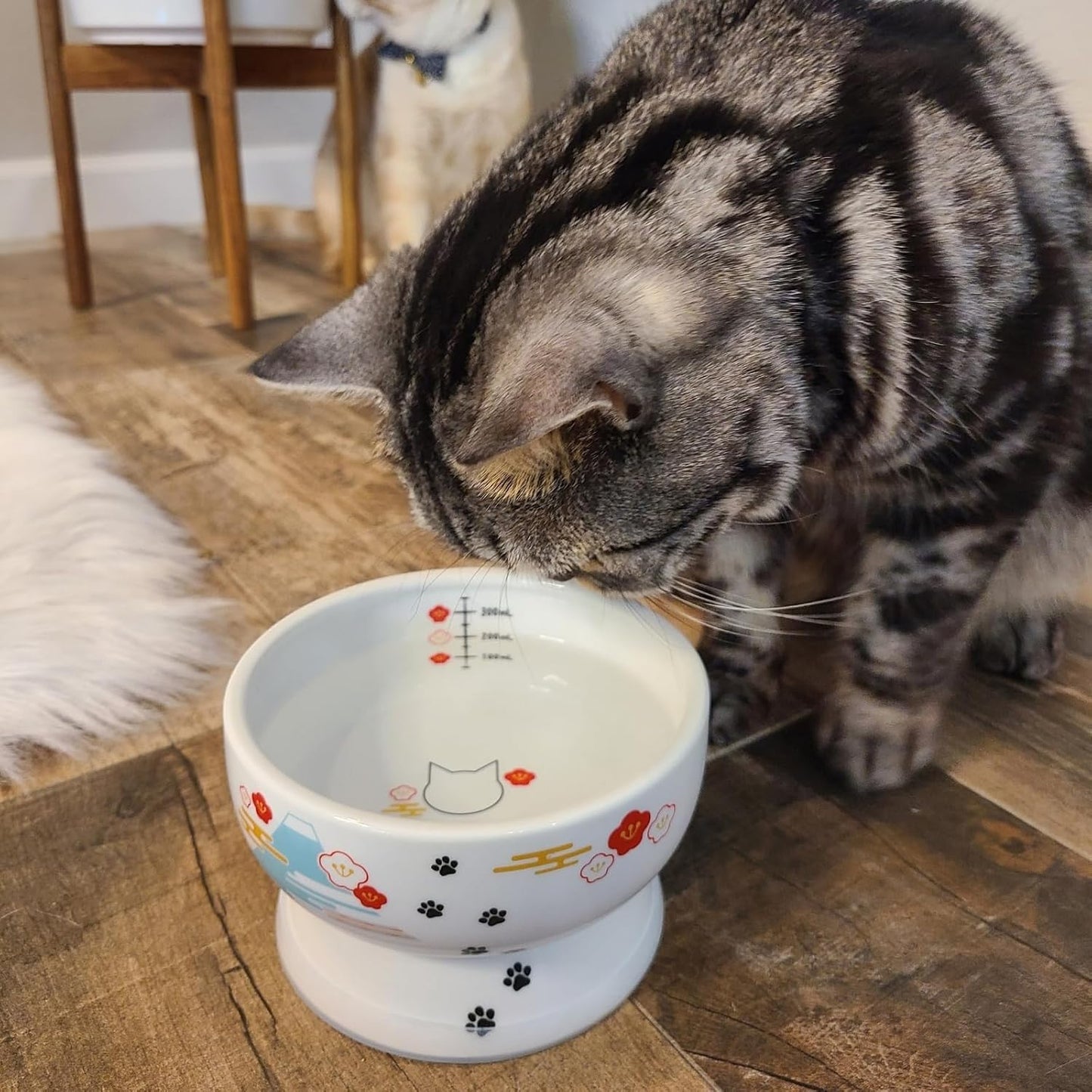 Necoichi Elevated Cat Water Bowl – Ceramic Raised Cat Bowl, Prevents Neck & Whisker Fatigue – Dishwasher & Microwave Safe – Pet Water Bowl for Cats (Fuji, Regular)