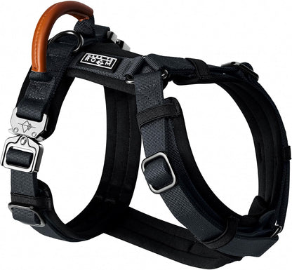 MADE TO ROAM Premium Explorer Harness - Y-Shaped Dog Harness with Adjustable Durable Nylon, Soft Padding, Metal Buckles and Leather Handle for Small, Medium, Large Dogs (New York Afterlight, Size 7)