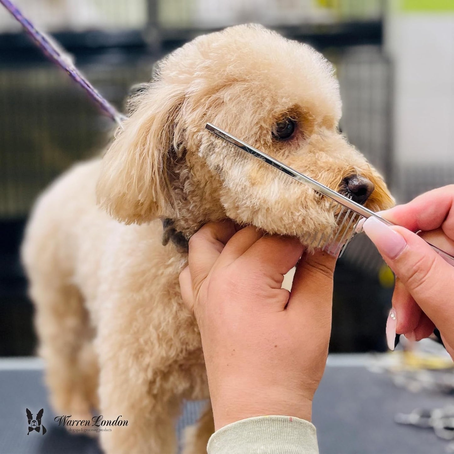 Warren London Copper Crescent Comb 6.5 inches – Premium Dog Grooming Comb for Professional-Quality Results Comfort Control Durability and Detail