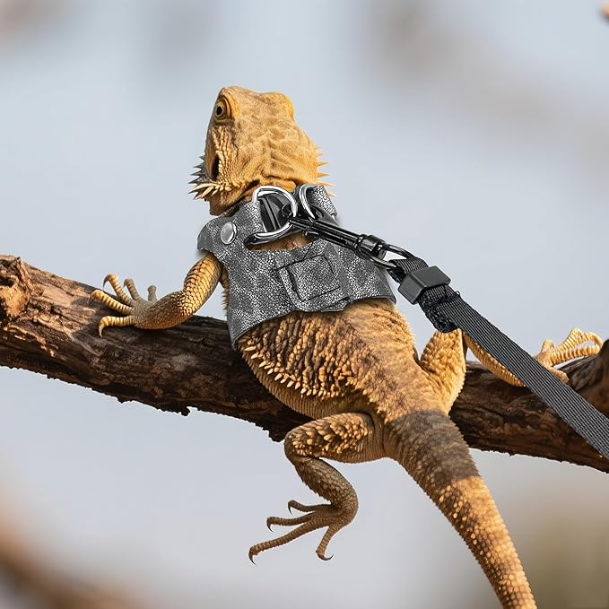 AIITLE 3 Pack Adjustable Bearded Dragon Harness and Leash Set - Leopard Print, Comfort Soft Leather Vest for Lizards, Iguanas, Guinea Pigs, Outdoor Walking & Camping, Grey