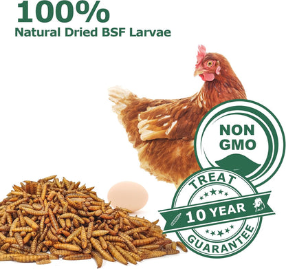 Dried Black Soldier Fly Larvae for Chickens - Non-GMO Poultry Feed Supplement, 85X More Calcium Than Mealworms,High-Protein Treats for Chickens, Hens, Ducks 1LB