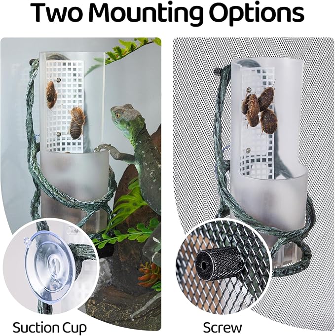 OIIBO Chameleon Feeding Bowl, Resin Vine Reptile Feeder with Grid Plate for Insect to Climb and Move, Reptile Hunting Bowl with Suction Cup for Chameleon, Lizard, Bearded Dragons, Iguana, Gecko, Frog