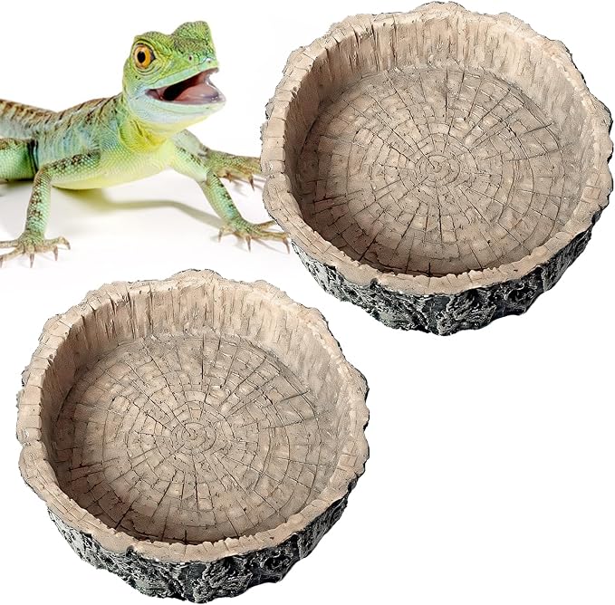 Small Reptile Food Dish 2 Packs Reptile Feeding Food Bowl Novelty Foods Bowl Lizard Reptile Water Bowls Dish Gecko Lizard Spider Scorpion Chameleon