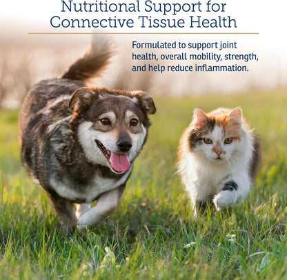 Rx Vitamins NutriFlex for Cats & Dogs - Glucosamine for Dogs Hip and Joint Supplement - with Bovine Collagen and Chondroitin - Joint Pain Relief & Anti Inflammatory for Dogs - Beef Liver (90 Chews)