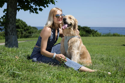 Dog Harness, No Pull Dogs Harness and Multi-Function Leash Set for Medium Dogs Easy Walk Everyday Adjustable Soft Dog Vest Harness Fashionable Dog Accessories Grey Blue-Button-M(16lb-35lb)