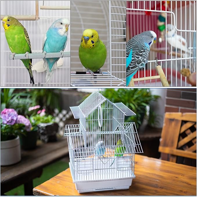 Small Bird Travel Cage - The Lightweight Small Birds Starter Kit with Birdcages and Accessories Great for Parakeets Lovebirds Parrotlets Finches Canaries