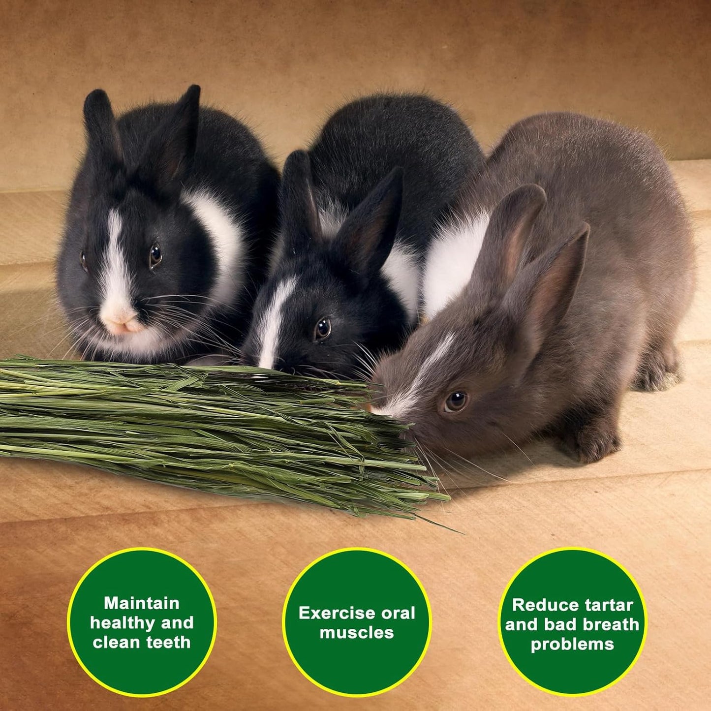 Premium Oat Hay for Pets - Dust Free Natural Green Fresh Pet Food Hay for Rabbits, Guinea Pigs, Chinchillas, Hamsters & Gerbils - 6.6 lbs