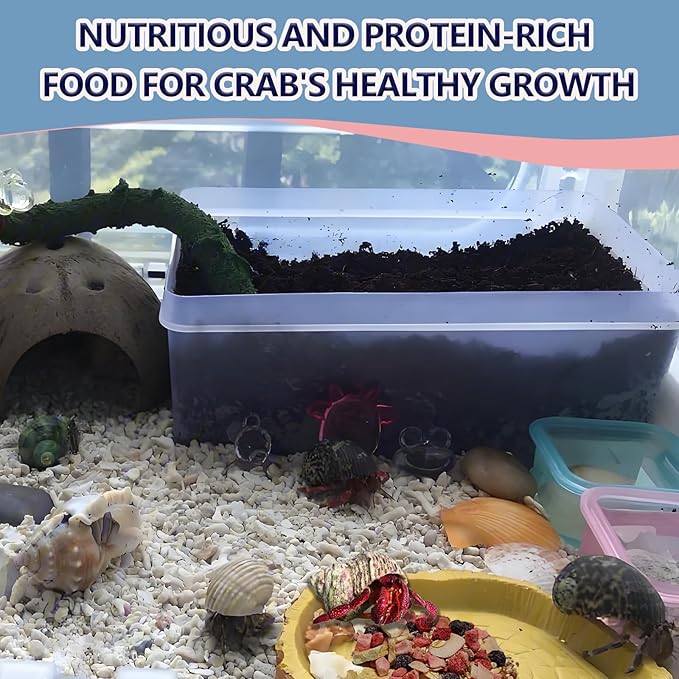 JADINGSFARM Fruity Buffet Blend Diet, 4.4 oz Food for Hermit Crabs, All Natural Hermit Crab Food, Hermit Crab Treats, High Protein & Nutrient Blend Diet of Oats, Blueberries, Strawberry, Banana, Sprouted Seeds Mix for Hermit Crabs.