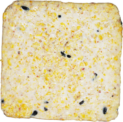 ST. ALBANS BAY SUET PLUS Suet Cake Variety Packs, 11 oz. Wild Bird Suet Cakes (High Energy, 10 Pack)