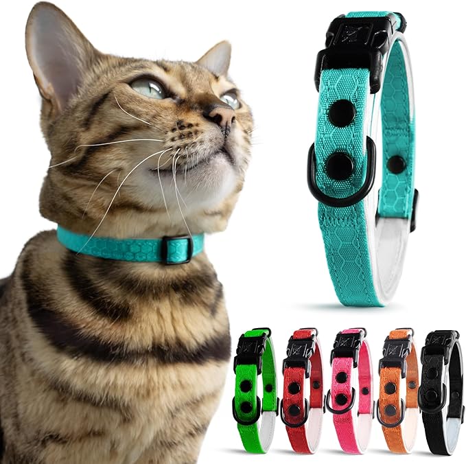 OutdoorBengal Durable Cat Collar Breakaway with Soft Padding for Medium to Large Cats - Thin Heavy Duty Tactical Fabric, Comfortable, Quick Release Breakaway Cat Collars, No Bell Collar (Blue, Adult)