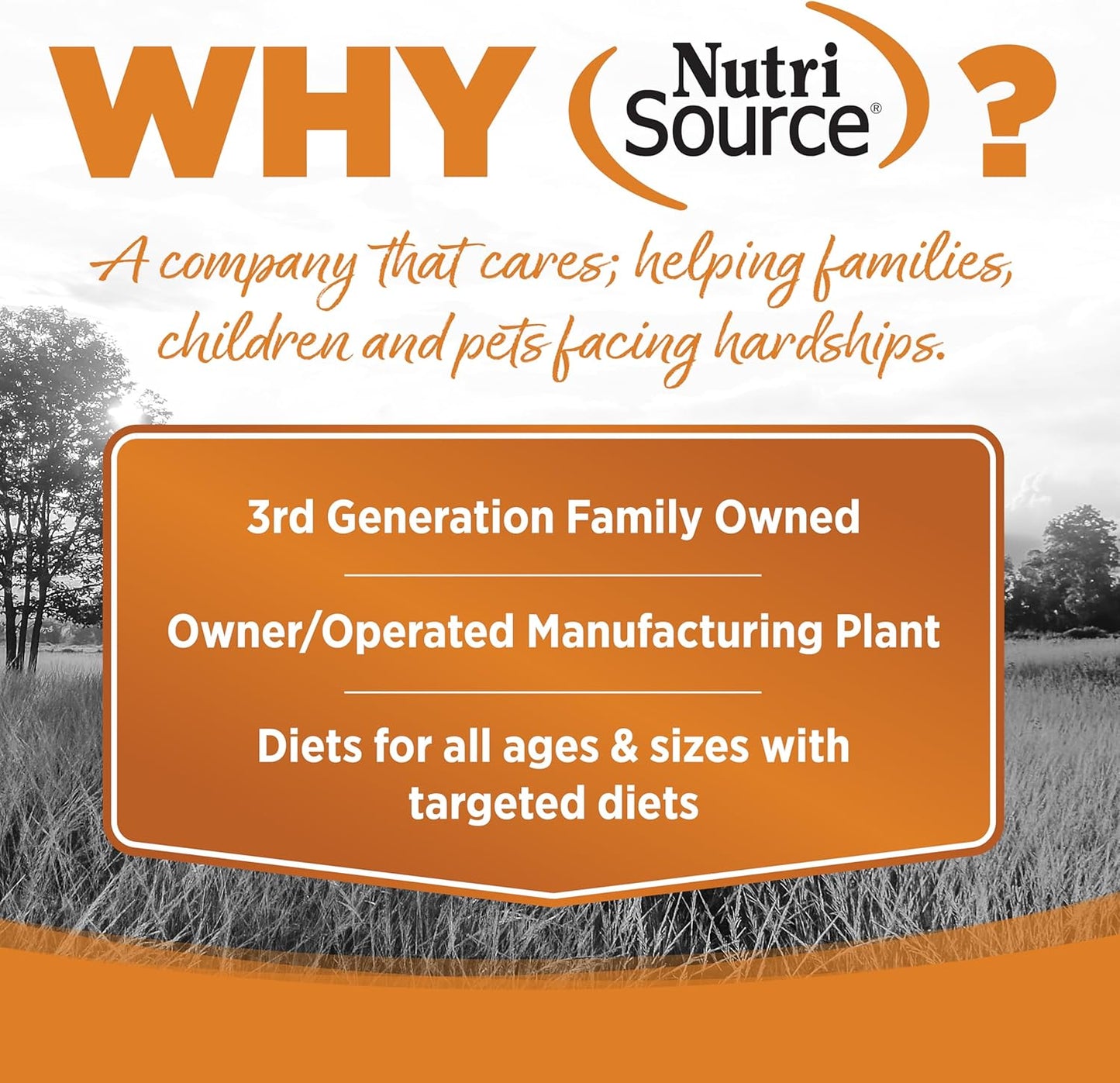 NutriSource Grain Free Lamb Recipe Dog Food, Premium Wet Dog Food, 12.3 Ounce (Pack of 12)