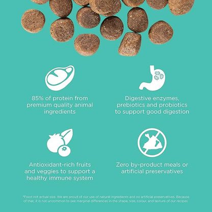 Go! Solutions Carnivore, Grain-Free, Protein Rich Dry Dog Food, Chicken, Turkey and Duck Adult Recipe, 3.5 lb Bag