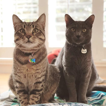 Anavia Small Size Dog Cat ID Tags, Small/XS Personalized Color Plated Stainless Steel Puppy Kitten Name Tags, Customized Engraved Nameplate Pet Collar Tag (Silver, Cat Head)